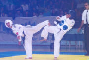 taekwondokorea2001_2small.jpg