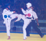 taekwondokorea2001_3small.jpg