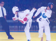 taekwondokorea2001_4small.jpg